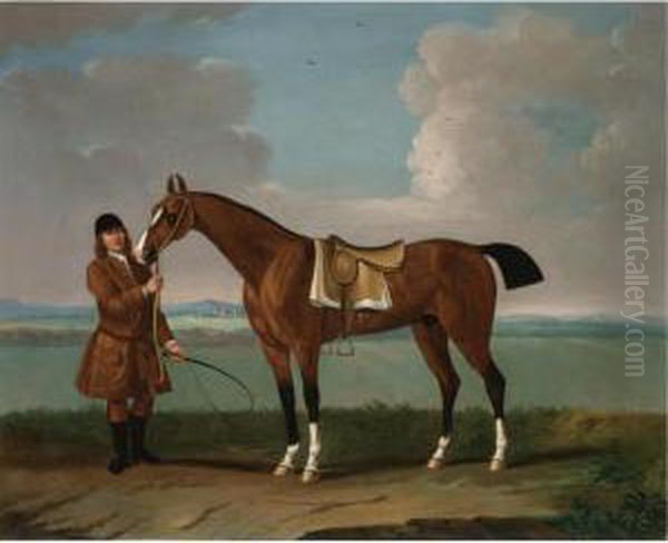 Blaze , Held By A Groom On Newmarket Heath - view 1