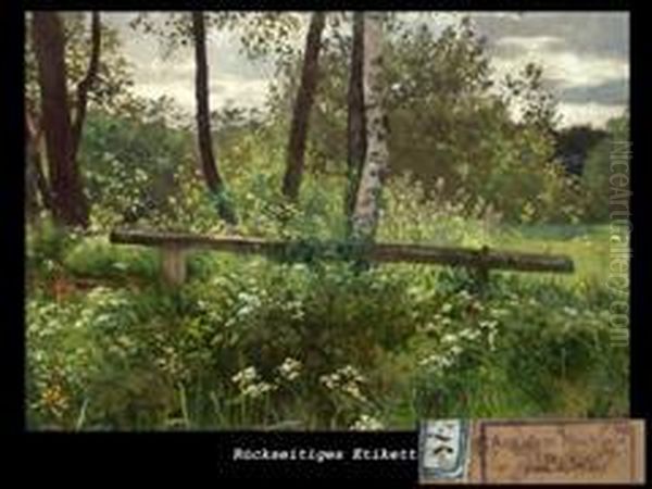 Holzsteg In Wiesenlandschaft - view 1