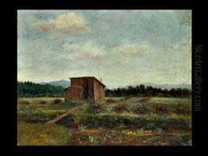 Moorlandschaft Bei Aibling Moorlandschaft Bei Aibling