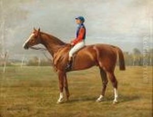 The Chestnut Racehorse, Admiral, With Jockey Up