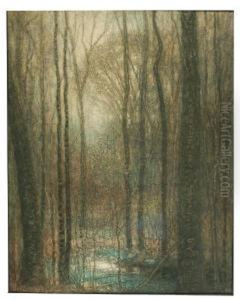 Forest Scene. - view 1