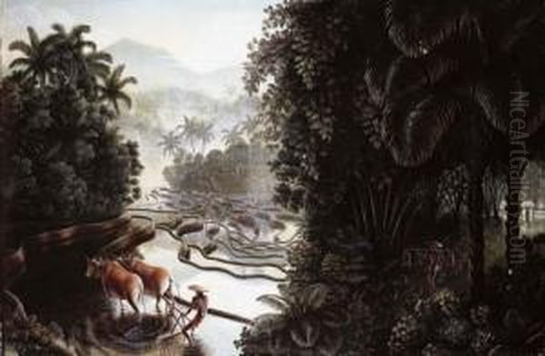 Sawahlandschaft Mit Gunung Agung (view Across The Sawahs To Gunungagung) - view 1