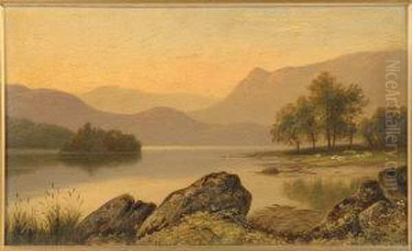Sheep At A Lochside - view 1