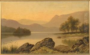 Sheep At A Lochside
