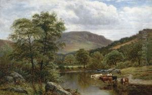 Cows Watering In An Extensive River Landscape