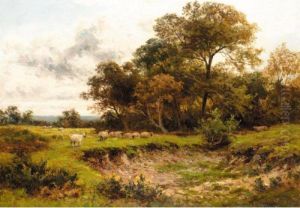 Sheep Grazing In Parkland