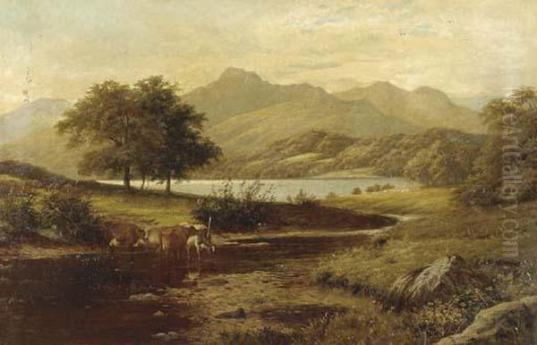 Cows Fording A Stream In A Mountainous Landscape - view 1