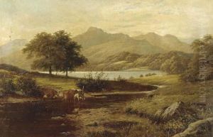 Cows Fording A Stream In A Mountainous Landscape