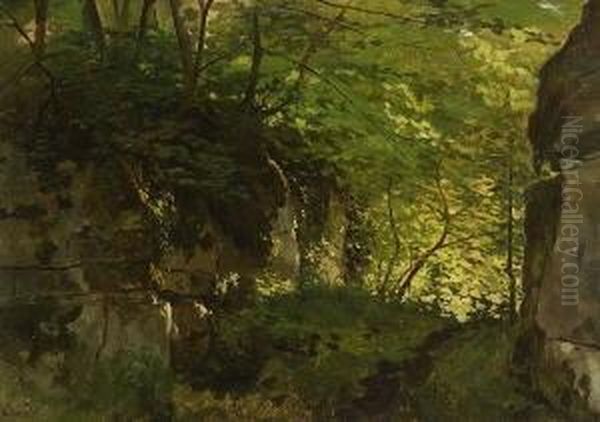 Waldschlucht - view 1