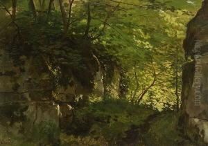 Waldschlucht