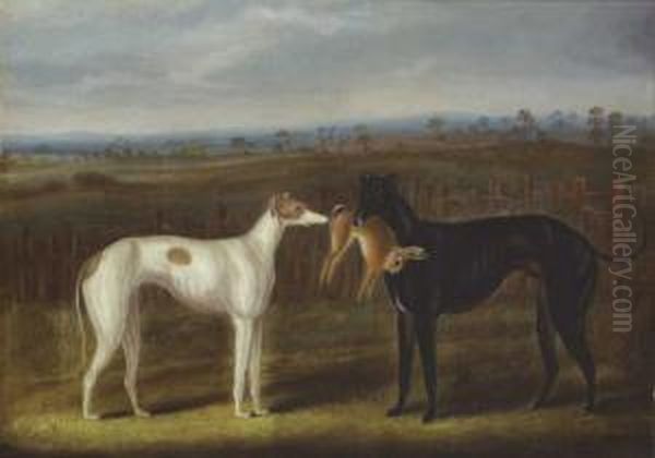 Pair Of Greyhounds With A Hare - view 1