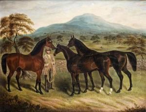 Three Horses With A Man Holding A Bridle In A Tipperarymountainscape