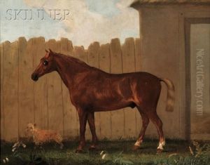 View Of A Thoroughbred And Terrier