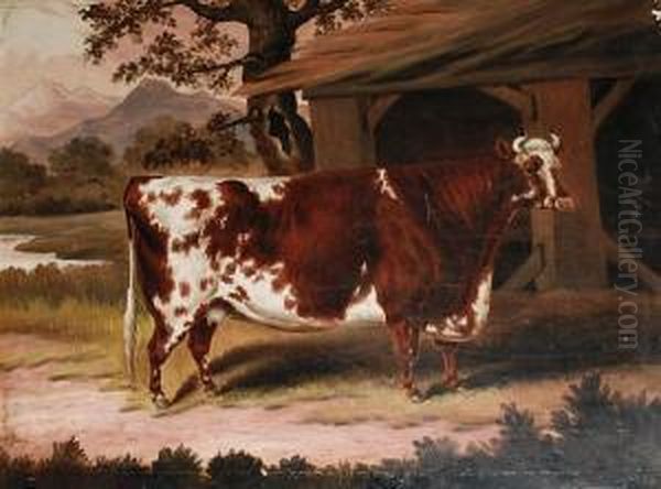 A Prize Cow - view 1