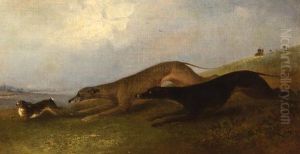 Hare Coursing
