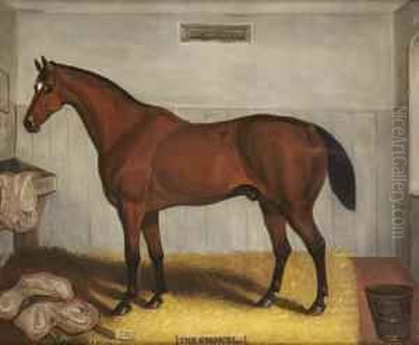 'the Colonel'; Portrait Of A Bay Horse In A Stable Interior - view 1