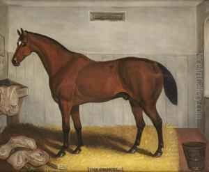 'the Colonel'; Portrait Of A Bay Horse In A Stable Interior