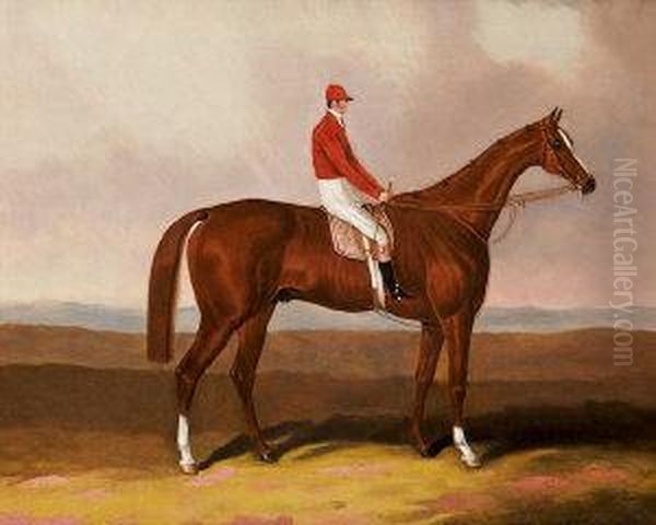 Racehorse With Jockey-up In A Landscape - view 1