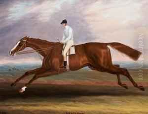 Harkaway