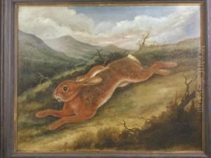 A Rabbit And A Weasel