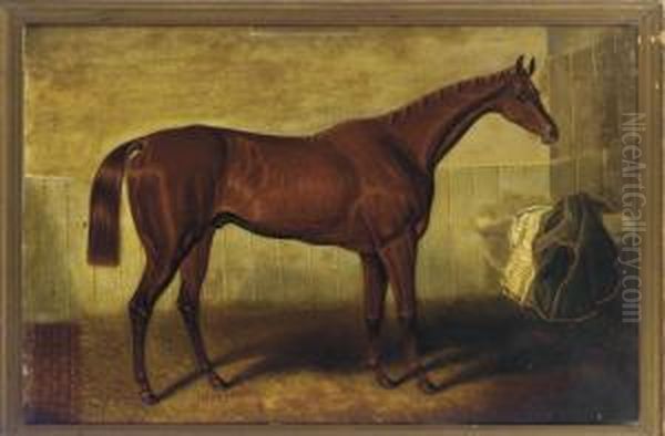A Bay Racehorse In A Stable - view 1