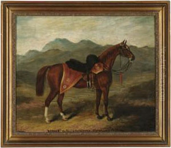 Ronald - view 1