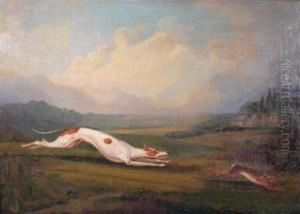 Hare Coursing
