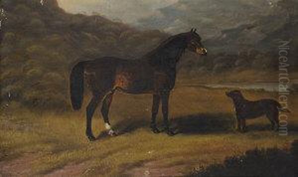 Connemara Pony And Water Spaniel In A River Landscape - view 1