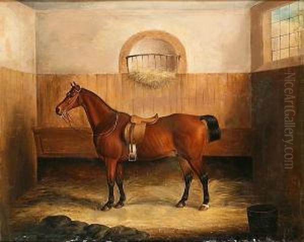 A Bay Horse In A Stable Interior - view 1