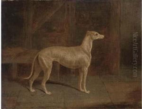 A Prize Greyhound In An Interior - view 1