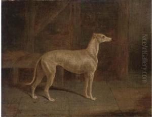A Prize Greyhound In An Interior