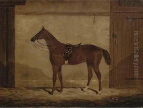 A Chestnut Hunter In A Stable - view 1