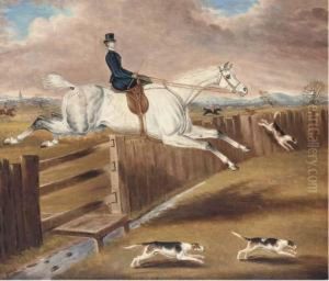 Over The Fence