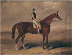Bryan-o-linn, A Chestnut Racehorse With Jockey Up by Samuel Spode