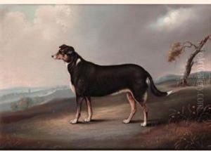 Dog In A Landscape Dog In A Landscape