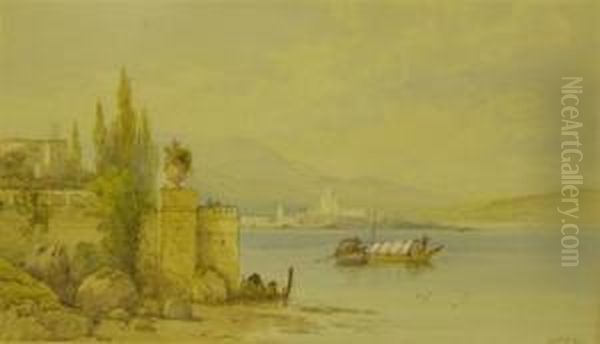 Villaon Lake Maggiara - view 1