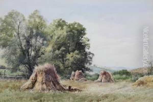 Hayfield - view 1