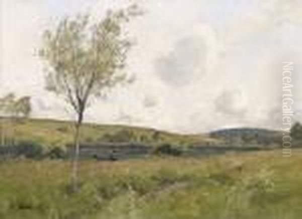 Flusslandschaft Mit Weidenbaumen - view 1