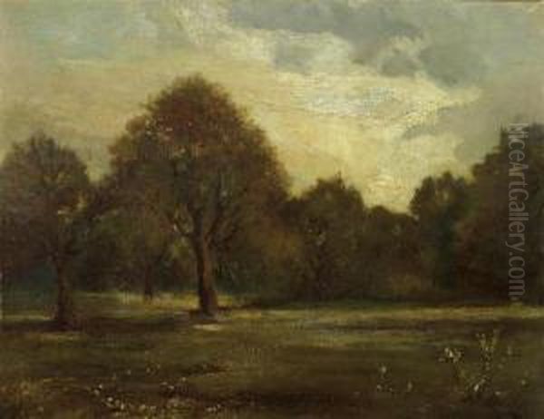 Forest Clearing. - view 1