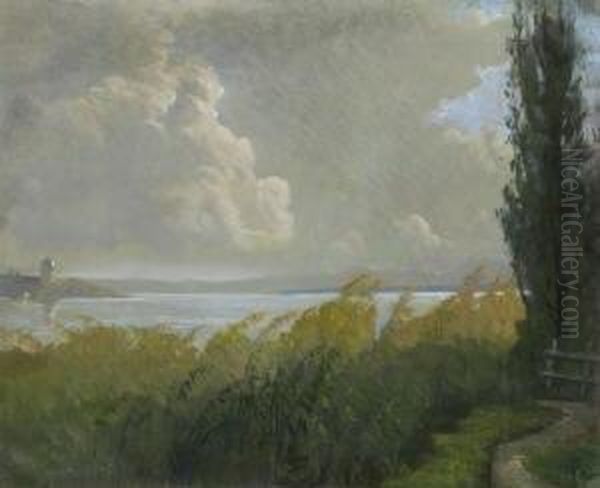Am Ufer Des Chiemsees. - view 1