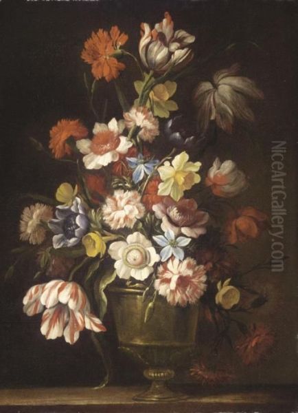 Still Life - view 1