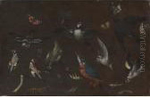Still Life - view 1