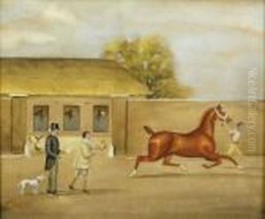 Exercising A Horse Outside A Stable Yard Exercising A Horse Outside A Stable Yard
