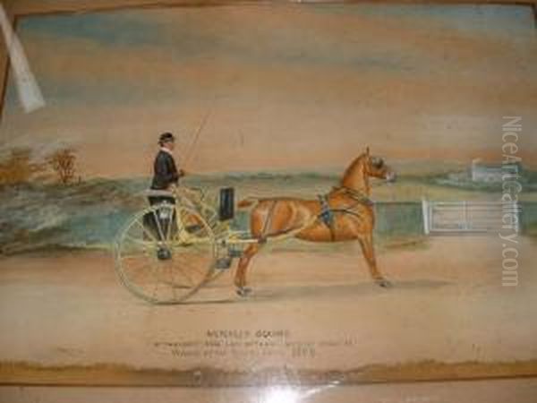 Metchley Squire, Winner At The Royalshow - view 1