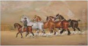 Shire Horses