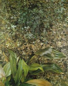 Two Plants