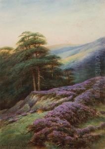 A Devonshire Sunset