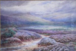 Moorland. by Henry Stannard