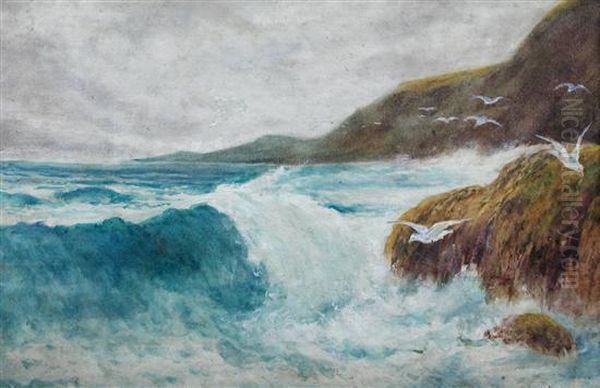 Gulls And Rocks - view 1