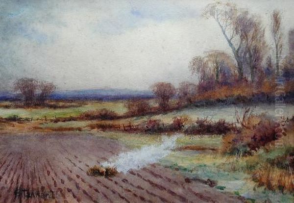 Autumnbonfire - view 1